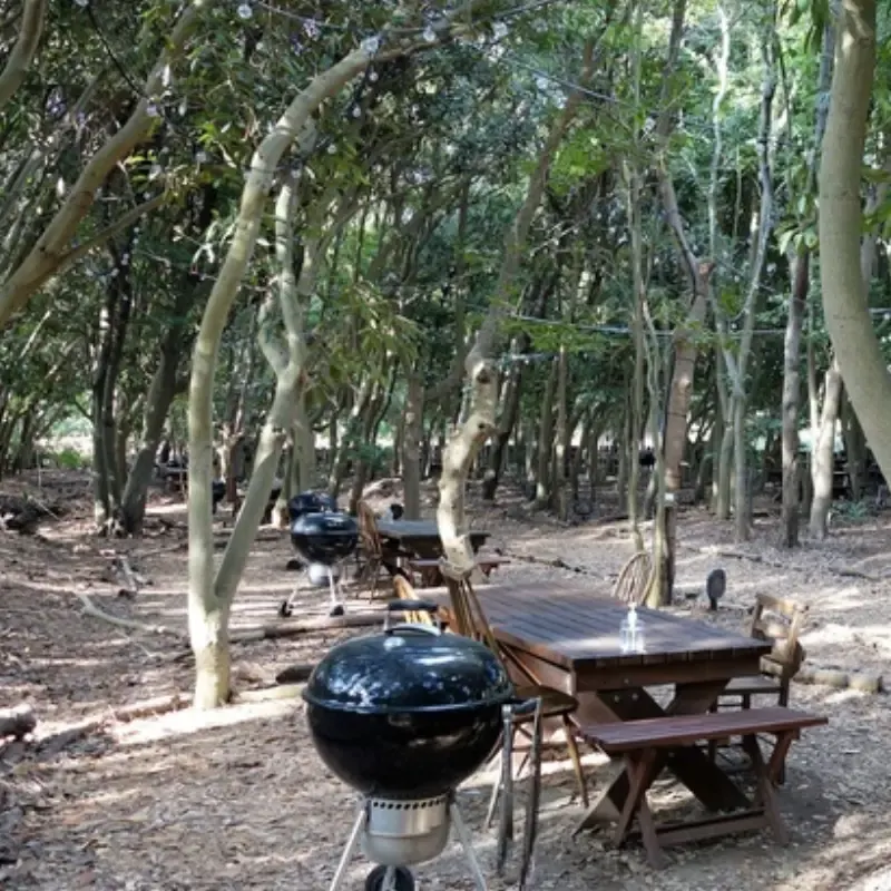 森のBBQエリアに置かれたグリルとウッドテーブル